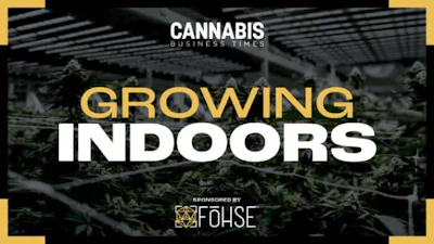 Growing Indoors Album Art4