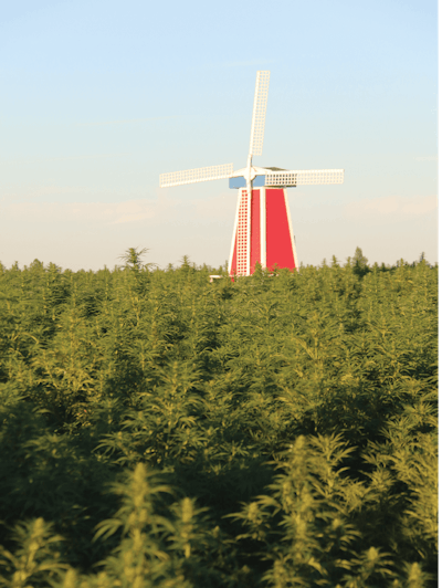 Hempwindmill Fmt