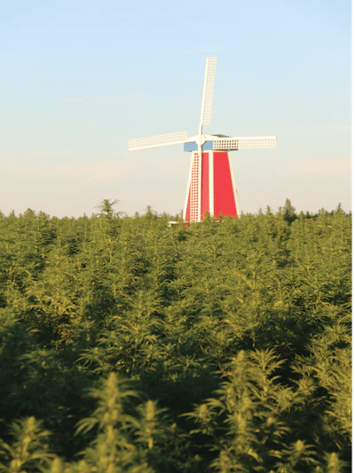 Hempwindmill Fmt