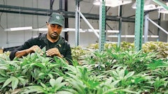 Jescehortonphotocreditcendinoteme02fmt