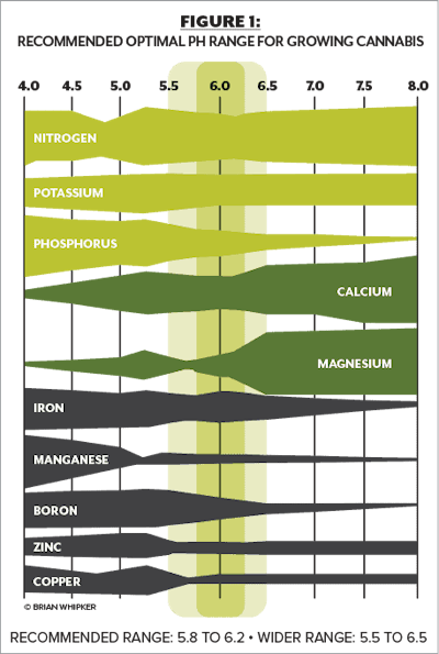Optimal Ph Fmt