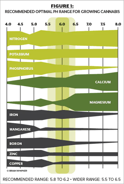 Optimal Ph Fmt