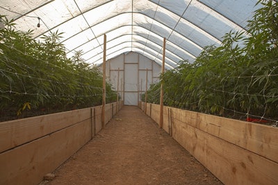 Stone Road 5 C4 C5966 Resized