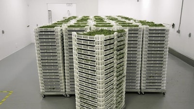 Cann Drying Systems