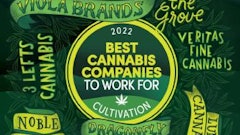 cannabis business times february issue cover