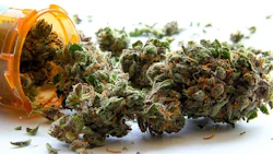 Medical Marijuanain Rx Bottle Adobe Stock Credit Atomazul Resized