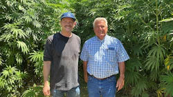 Lawrence Serbin (left) and Tom Pires partnered this summer to trial growing four different varieties of fiber hemp in California's Central Valley.