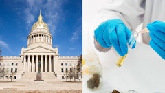 Wv Labmerged Adobe Stock42650655