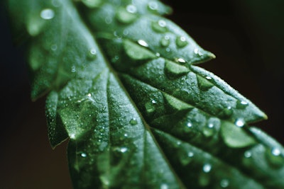 Adobe Stock 284974214 Fmt