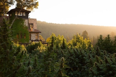The Bohemian Chemist, a sungrown cannabis operation in Philo, Calif., has partnered with other members of the Mendocino Cannabis Alliance to launch MendocinoCannabis.Shop, an online sales and delivery platform.