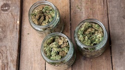 Buds In Glass Jars Adobe Stock Credit Aleksandarkamasi Resized