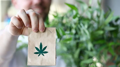 Canna Delivery Adobe Stock323713353
