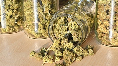 Cannafallingjar Adobe Stock183185560