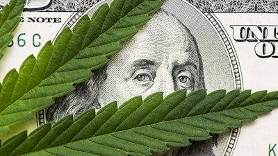Canna Money Adobe Stock2766046511