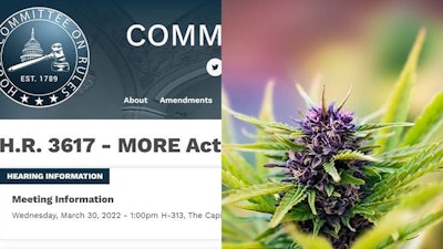 Comittee Rules Canna Flowermerged