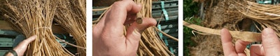 Decorticate Hemp Fmt