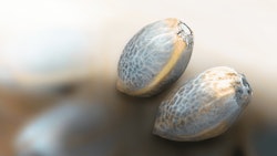 Hemp Grower Top Web Photo Template41