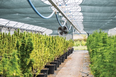 I Stock 1338050483 Fmt