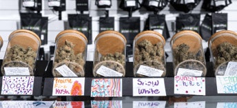 Kushhouse 0010 Fmt