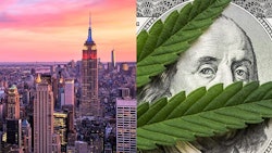 N Ycannacashmerged Adobe Stock89776597