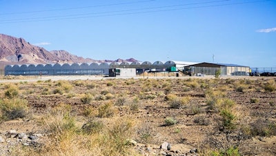 Outdoor Grow Adobe Stock283854216 Editorial Use Only