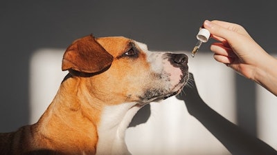Photoboyko Adobestock