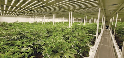 Updated Facility Fmt