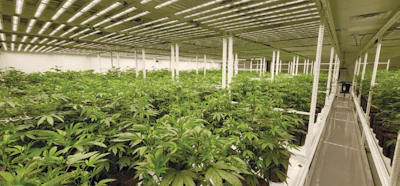 Updated Facility Fmt