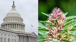 Us Capitolmerged Adobe Stock301260425