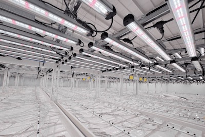 Valoya Le Ds In North America Crop Production Fmt