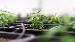 Adobe Stock2294177601