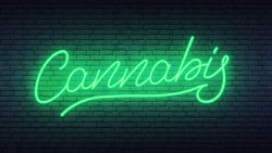 Cannabisilluminated Adobe Stock275055523