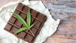 Canna Chocolate Adobe Stock132078188