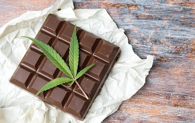 Canna Chocolate Adobe Stock132078188