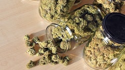 Canna Jars Adobe Stock183185583