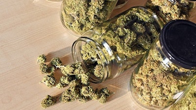 Canna Jars Adobe Stock183185583
