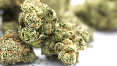 Cannanuggets Adobe Stock216716093