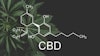 Cbd Chemical Formula Plant Background Adobe Stock Credit Cendeced Resized
