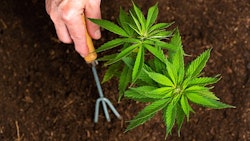 Creativefamilyadobestock