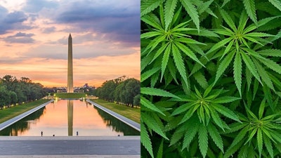 Dc Cannamerged Adobe Stock214798630
