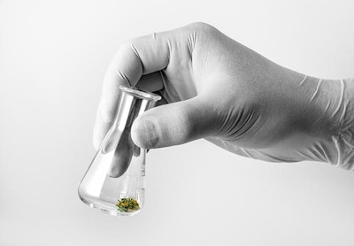 Hand Holding Marijuana Budin Test Tube Adobe Stock Credit Forance Resized