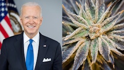 Joe Bidenmerged