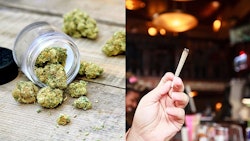 Mich Lounge Cannamerged Adobe Stock203422857