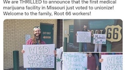 Root66 Union campaign