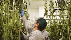 Txog Cultivation 1