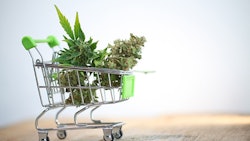 Adobe Stock280272266 Web