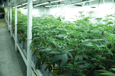 Adobe Stock 333249480 Fmt