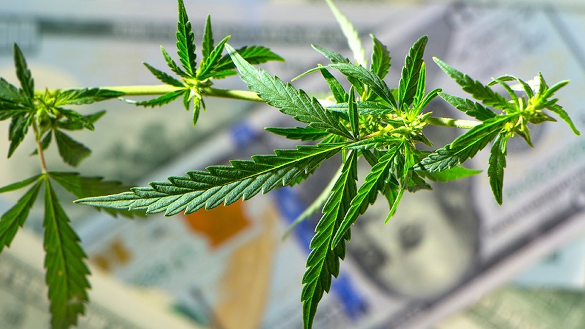 Massachusetts AdultUse Cannabis Retailers Eclipse 3 Billion in Sales