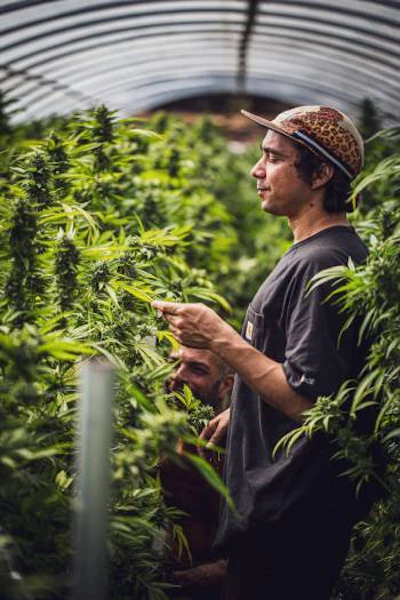 full moon farms grower