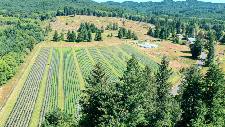 Aerial view of Tweedle Farms.